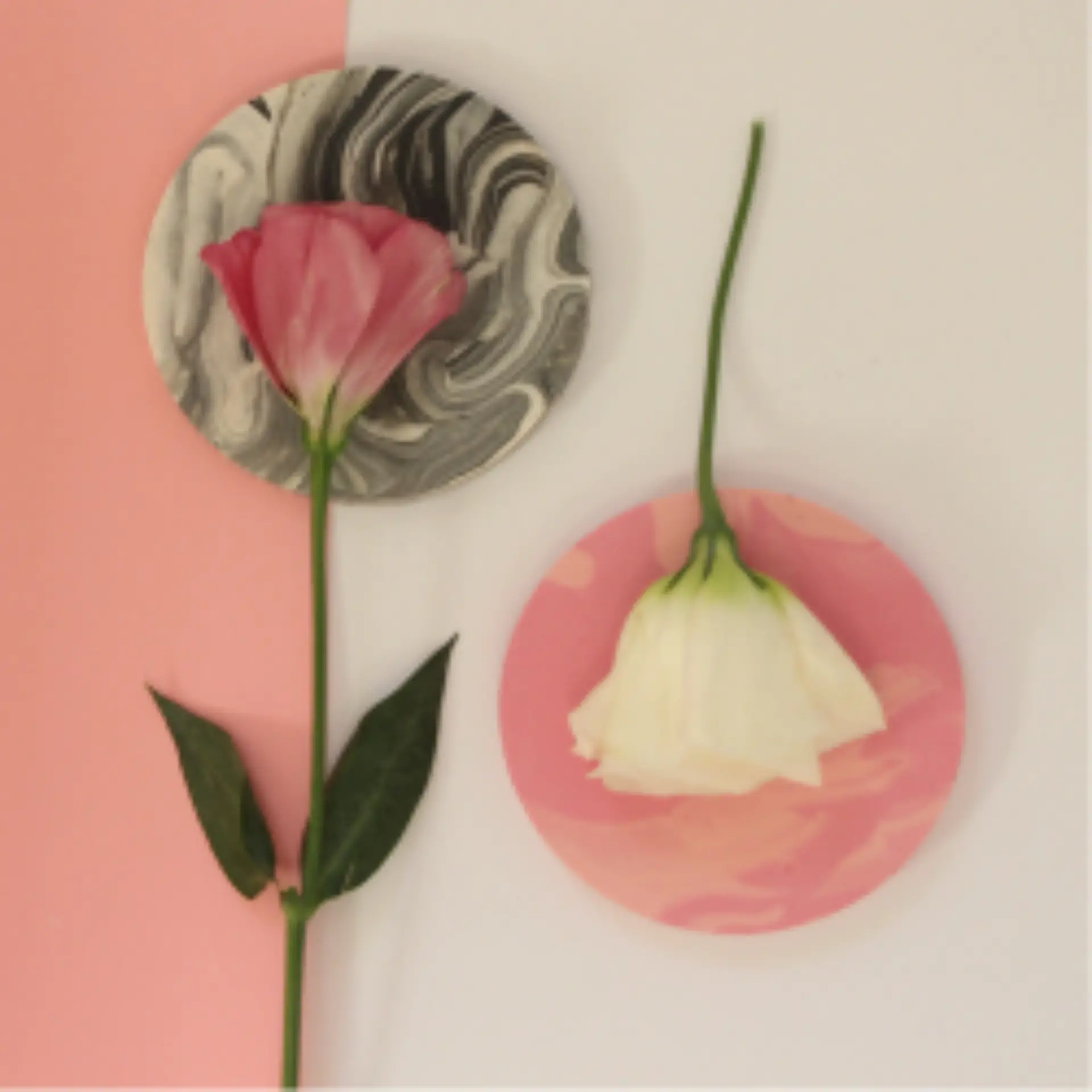 תחתיות לכוסות עבודת יד